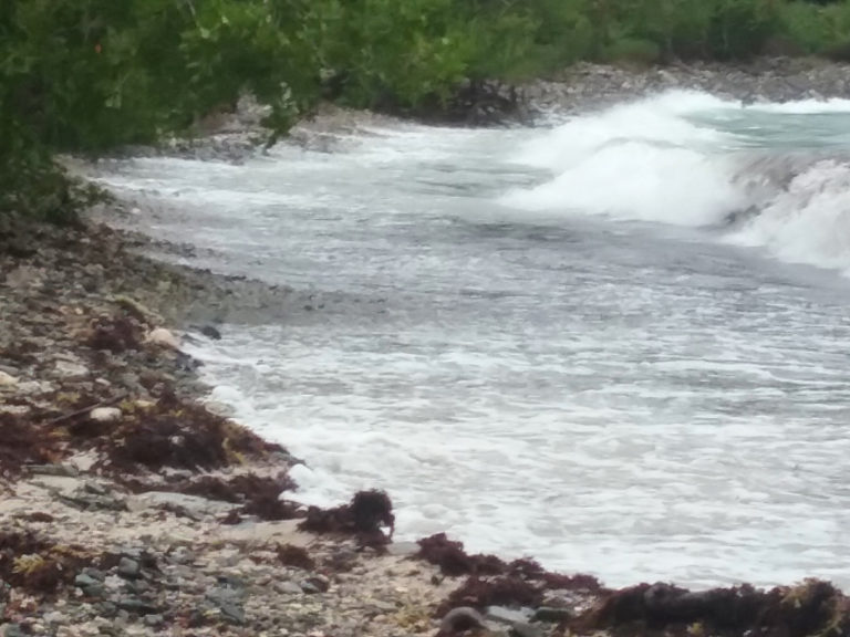 Dangerous Surf Conditions Forecast Through the Weekend