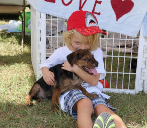 Dylan Garner has an armful of love from a small puppy, one that is ready to be adopted or flown to the states at the Paws From Paradise booth. (Source photo by Linda Morland)