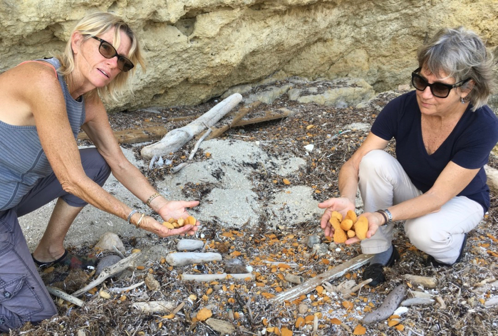 Toni Lance and Barbara Walsh point out polystyrene debris from larger blocks washed up on the beach. (Source photo by Susan Ellis)