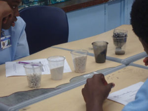 CAHS students experiment with which mix of large and small gravel and sand make the best water filter. (Photo provided by Howard Forbes Jr.)
