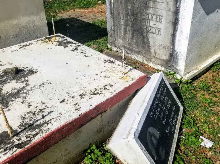 Public Tells Senate of ‘Disgraceful’ Cemetery Conditions