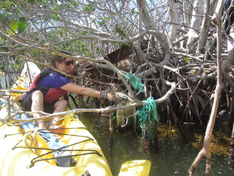 Volunteers Sought for Large-Scale Mangrove Cleanups on Each Island