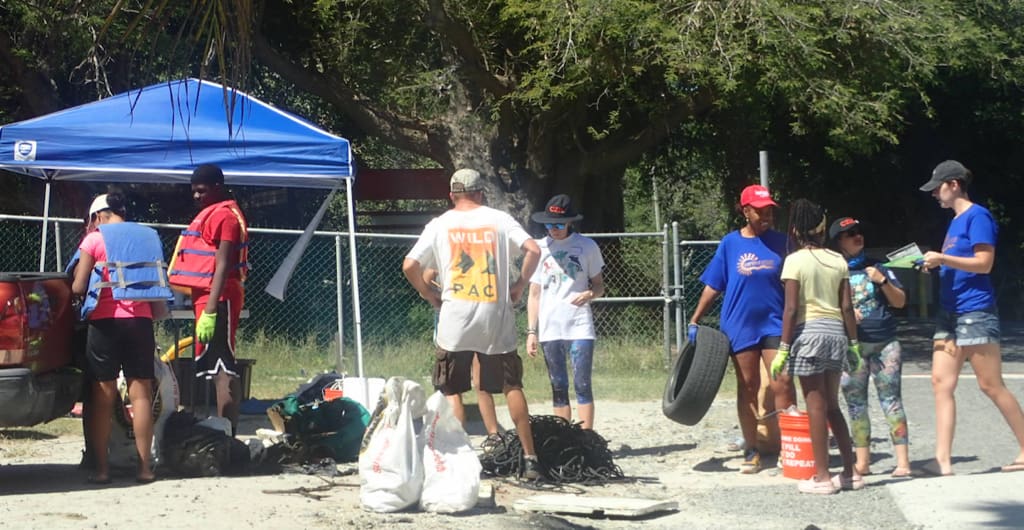 Volunteers stand in line to weigh trash collected from Salt River Bay mangroves. (Source photo by Susan Ellis)