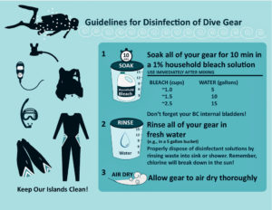 Kitty Edwards created this diver precaution poster showing how to disinfect gear so as not to spread Stony Coral Tissue Loss Disease. (Image by Kitty Edwards, CZM)