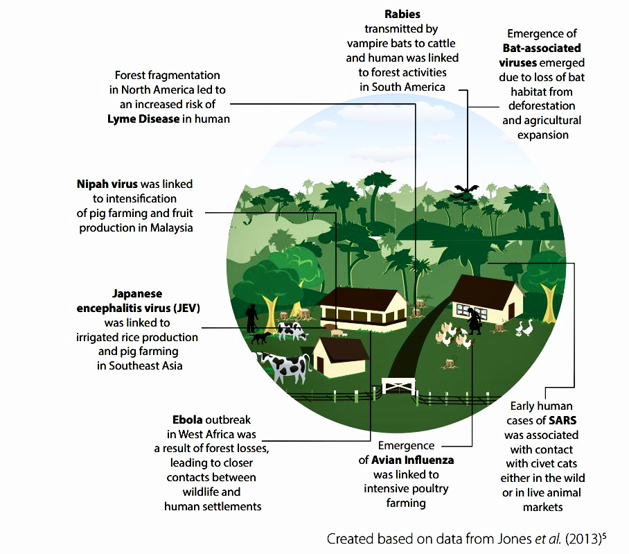 Graphic from UNEP (United Nations Environmental Programme) Report 2016