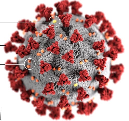 STJ Records First COVID-19 Case; USVI Total Updated to 23