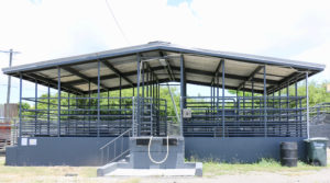 The livestock pens at the St. Croix abattoir. (Source photo by Linda Morland)
