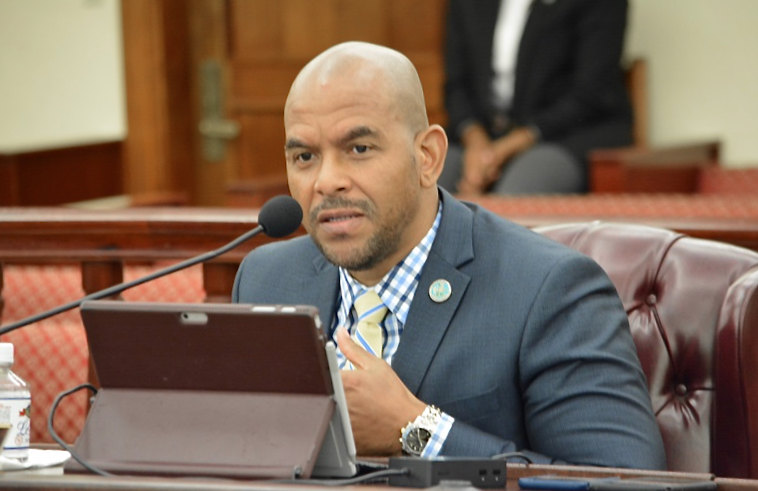 Public Works Commissioner Nelson Petty Jr. testifies during Tuesday’s Committee on Finance hearing. (Photo by Barry Leerdam, V.I. Legislature)