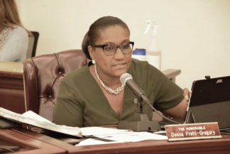 Sen. Donna Frett-Gregory tells the Senate it's time for the measure to move forward. (Photo by Barry Leerdam, U.S. Virgin Islands Legislature)