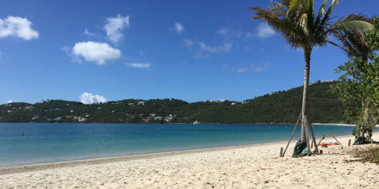 Magens Bay Authority Entering Digital Age with New Online System