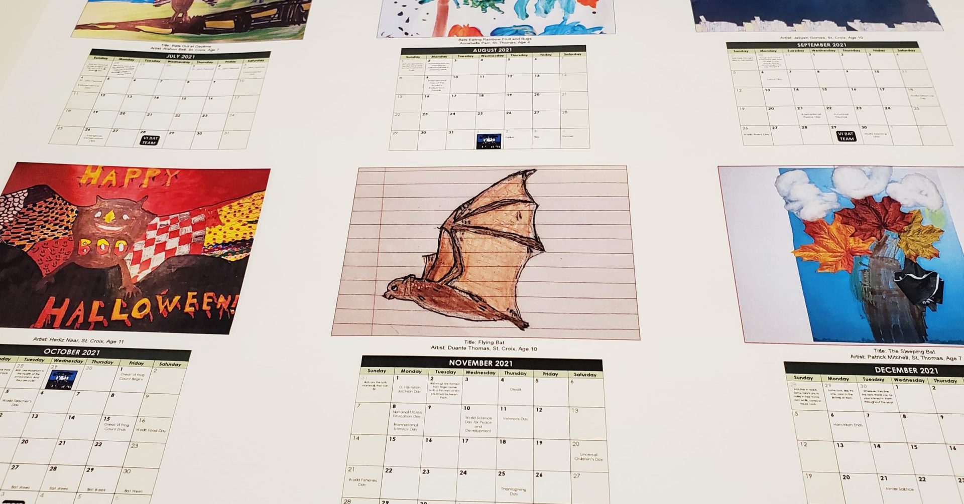 Bat Calendar Helps Support NonProfits by Pollinating the Population