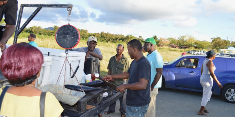 St. Croix’s La Reine Fish Market Reopens