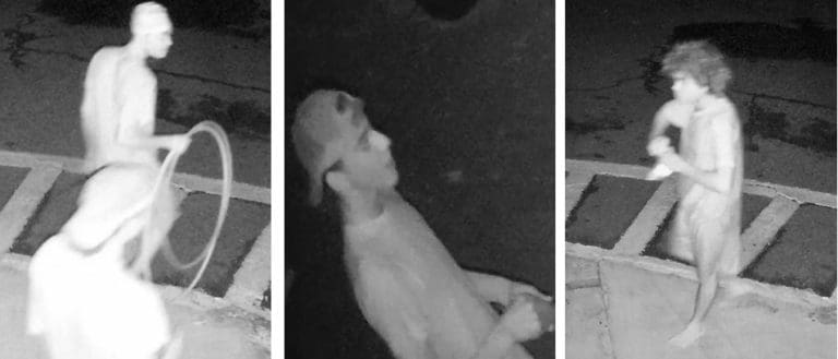 Crime of the Week: Information Sought in Homicide, Vandalism