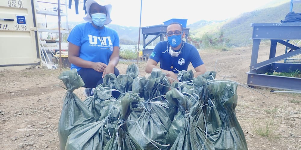 UVI Scientist Crushing Glass Waste with Recycling Project