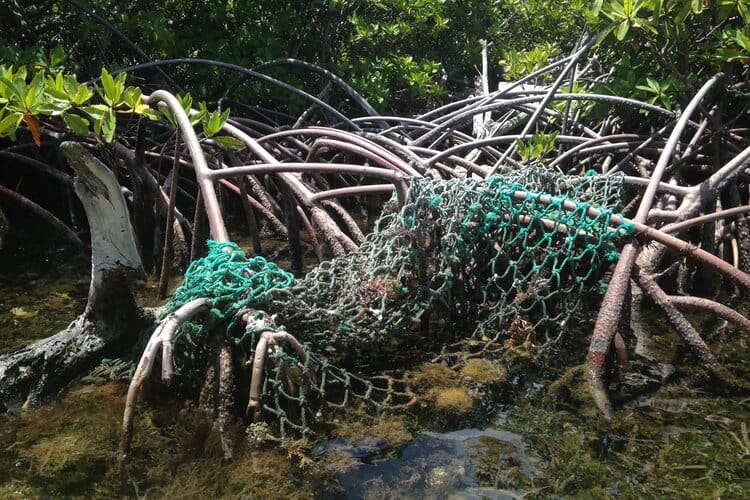 The Tide is Turning on Marine Debris in the U.S. Virgin Islands