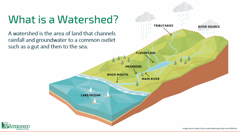 Watershed Project Aims to Improve Water Quality in the Territory