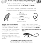 Exotic Pet Amnesty