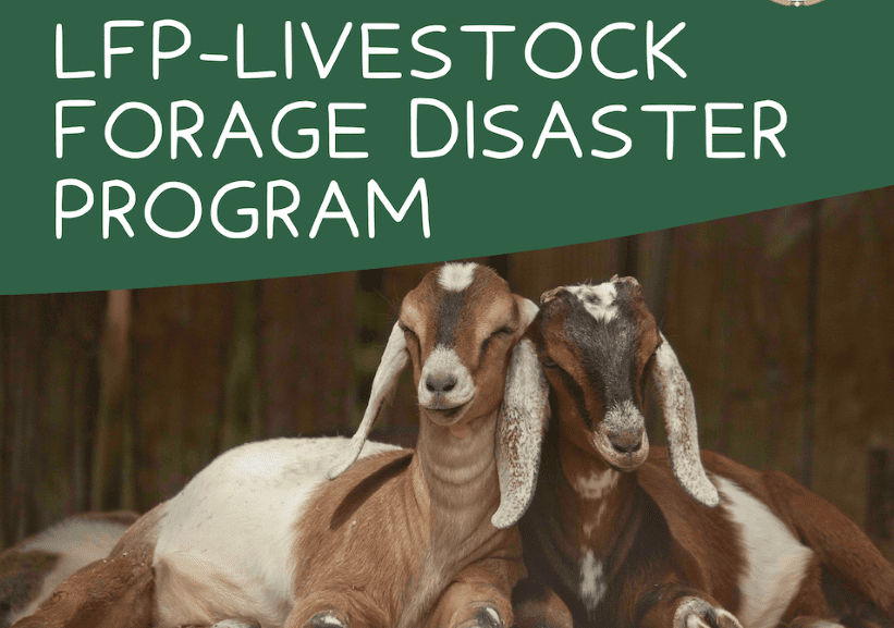 USDA to Assist Farmers During Drought With Livestock Forage Disaster