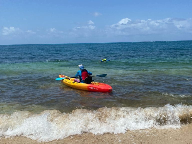 Friends of St. Croix East End Marine Park Educates About Coral Nursery Restoration