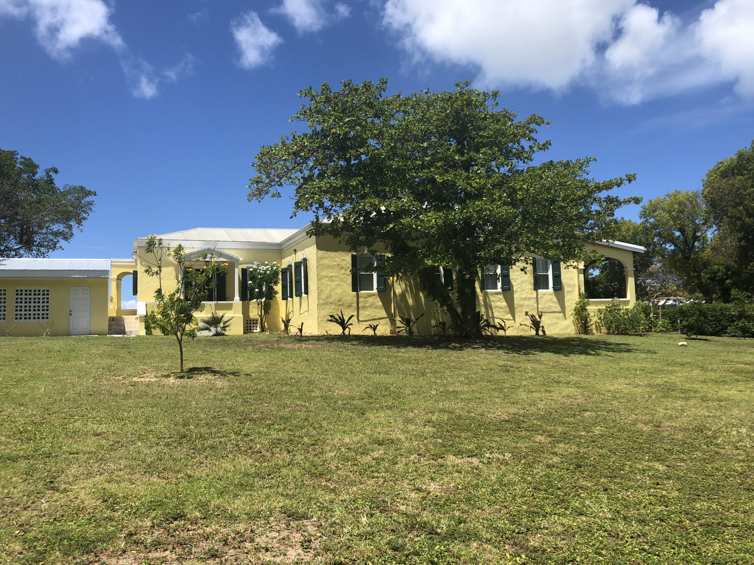 New Home for St. Croix Animal Welfare Center | St. Thomas Source