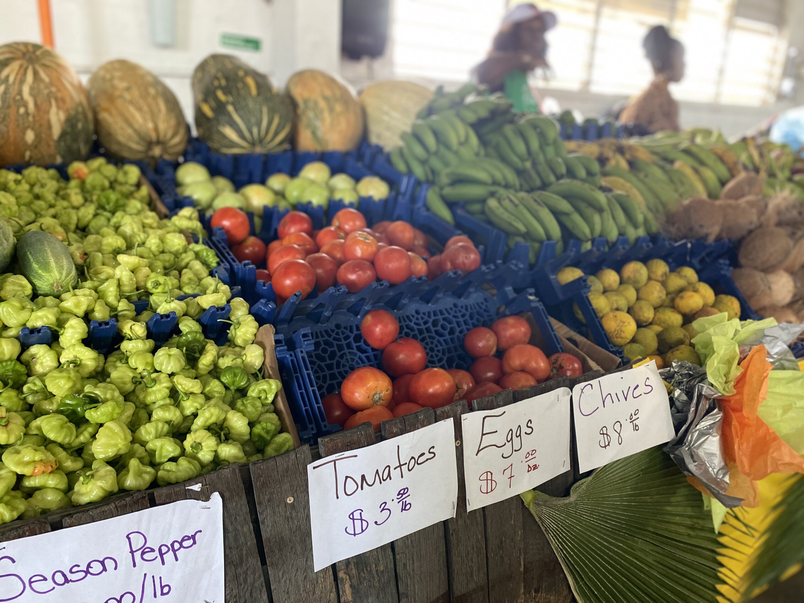 Photo Focus 50th Anniversary of the Agricultural Fair in St Croix St