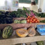 A variety of locally grown produce is seen here at the Ridge to Reef booth at the 50th AgFair in St. Croix.