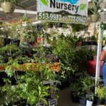 Fruit trees are a major hit at the 50th AgriFest as seen at the Dorcas Griffin Nursery booth.