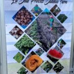 La Belle Princess Badeau Farmer of the Year sign at the 2022 AgFair in STX.