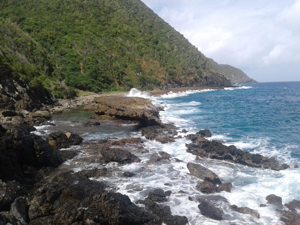 Part of the Maroon Ridge in the northwest of St. Croix. (Photo by Olasee Davis)