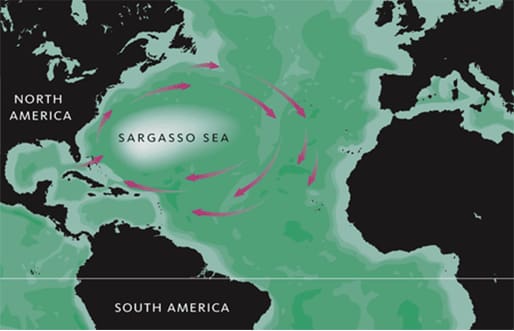 Editorial: It’s Politics and Sargassum for “Local Tourists”