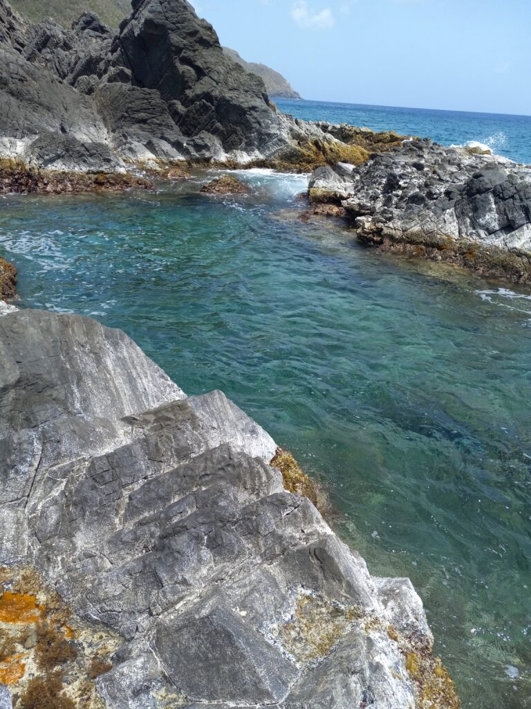 One of the tidal pools at Wells Bay in the Northwest Quarter of St. Croix. (Photo by Olasee Davis)