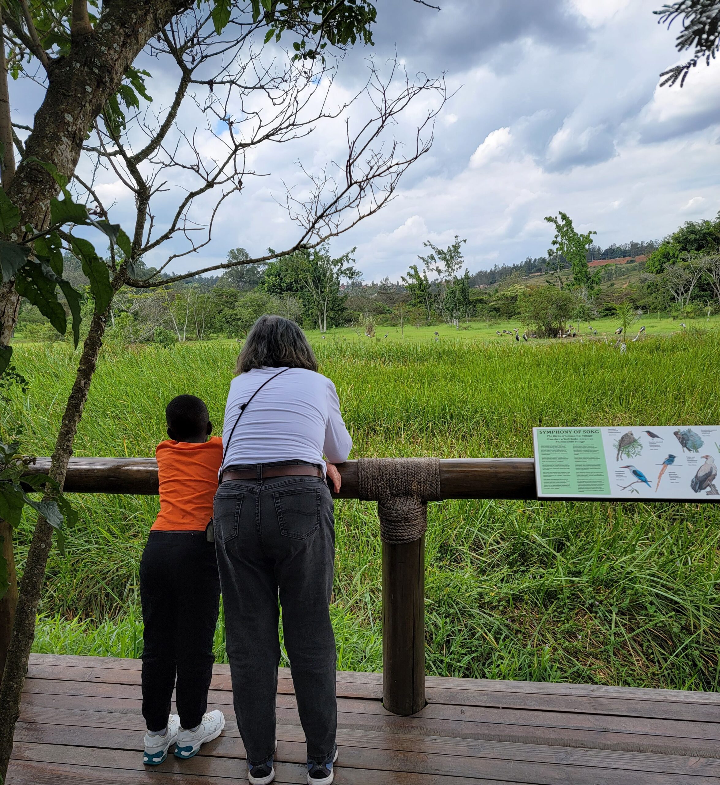 Ziggy and Go-Go looking for life in the wetlands. (Pierre Murara photo) 