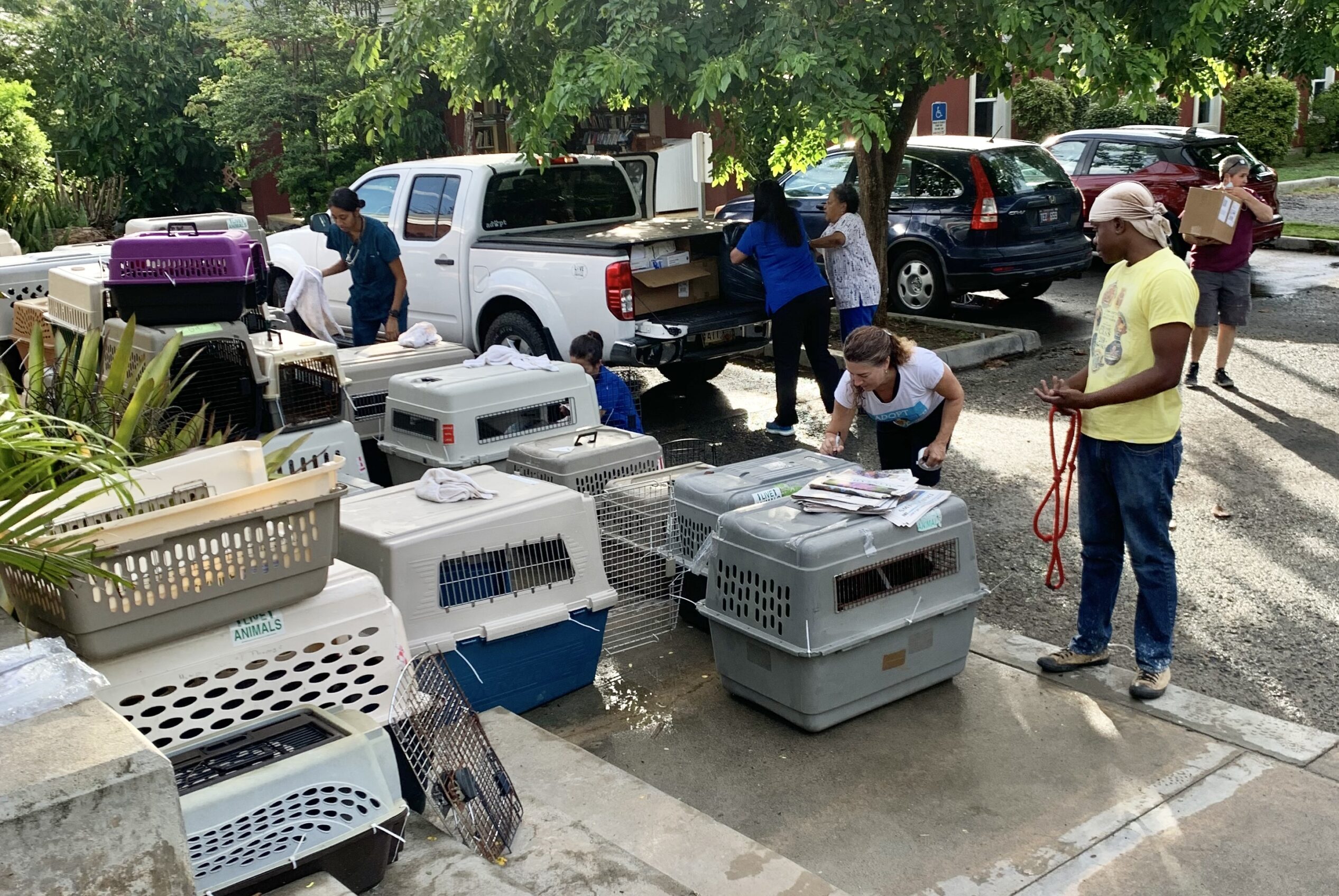Staff and volunteers prepare for the spay/neuter event at the Humane Society of St. Thomas. (Photo courtesy of Humane Society of St. Thomas)