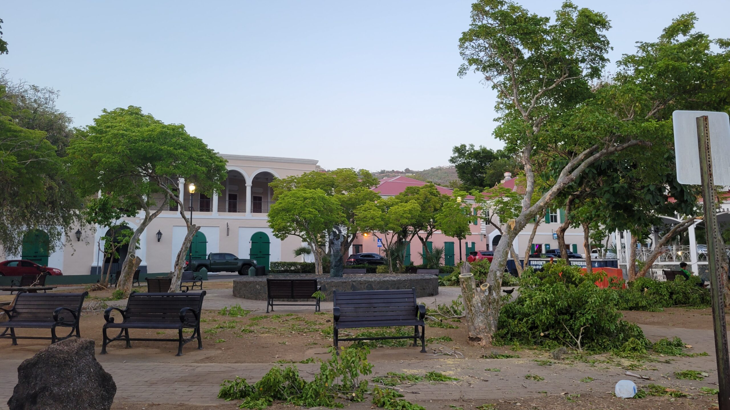 Emancipation Garden on St. Thomas where the Lignum vitae ( Guaiacum officinate) trees were pruned improperly. (Photo by Dale Morton)