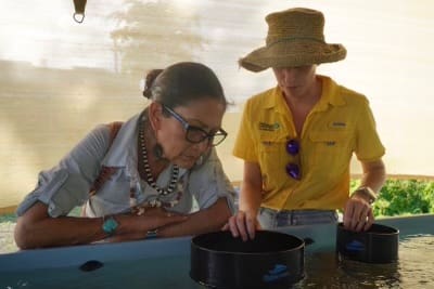 Secretary of the Interior Deb Haaland Highlights Efforts to Bolster Coastal and Climate Resilience in the U.S. Territories