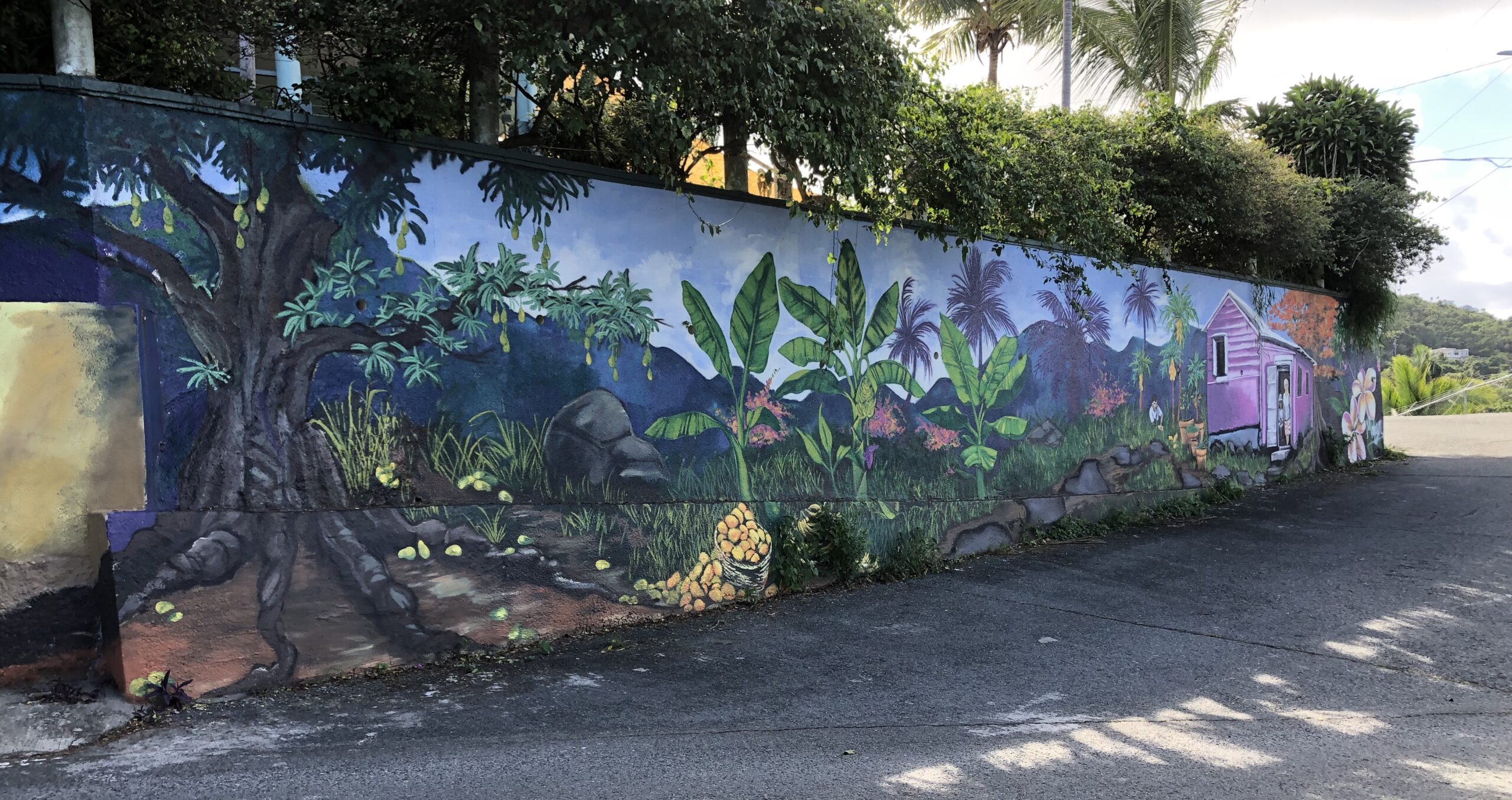 A mural by Megan Lyn encompasses the two concrete walls that surround the home of Rita Greaux and Paul Berry at the foot of Barrett Hill in Hull Bay. The work was commissioned as a tribute to both sides of the family, reflecting the fishing and the farming that was, and remains, the backbone of the community. (Source photo by Sian Cobb)