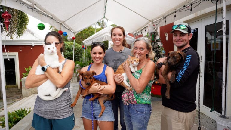 Humane Society Offering Free Spay and Neuter Clinics, Adoptions and More in August