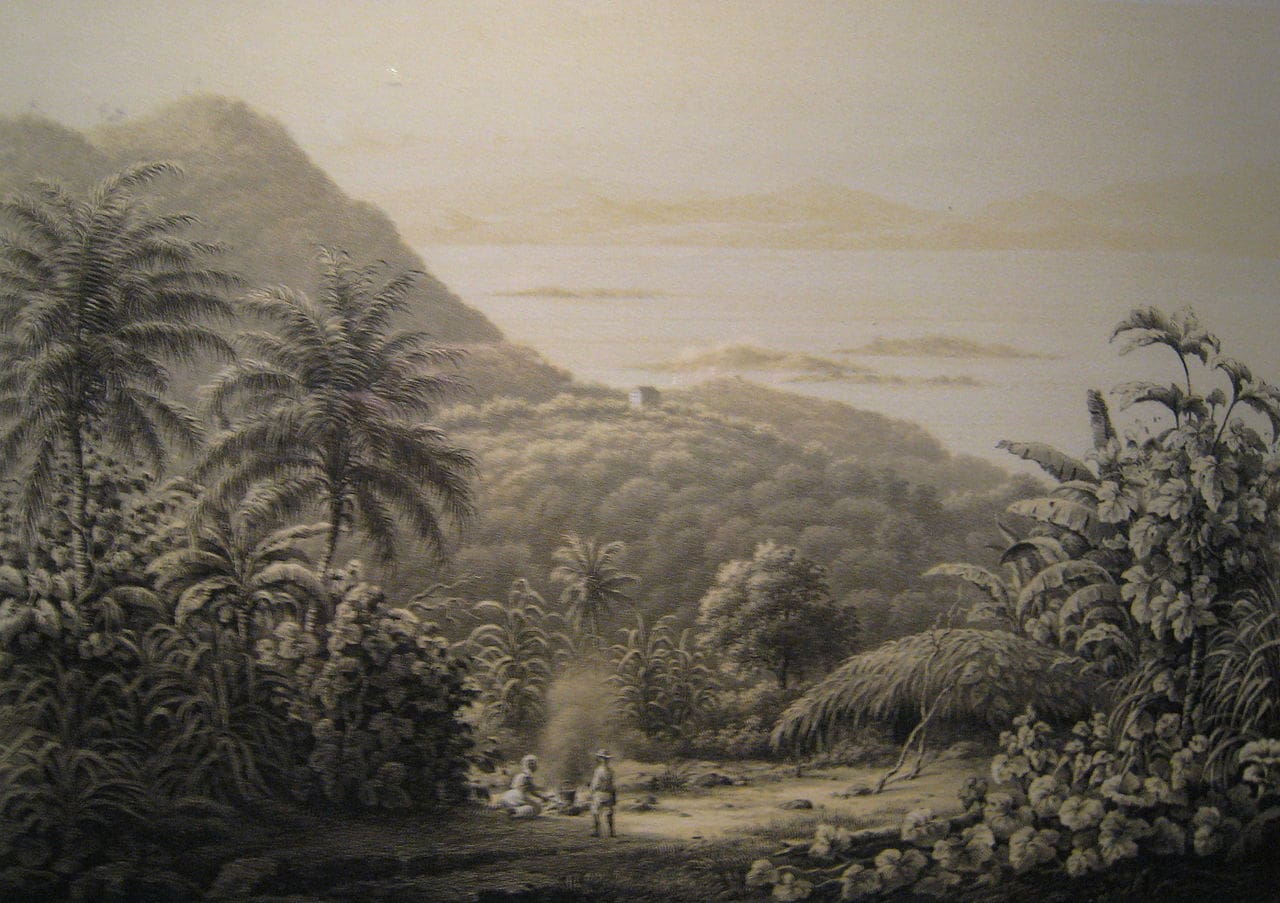This 1850 printing showed St. John rough landscape. Mamey Peak on St. John, one of the highest peaks on the island of 1,164 feet above sea level named derived from our naïve fruit Mammey Apple. (Image courtesy Olasee Davis)