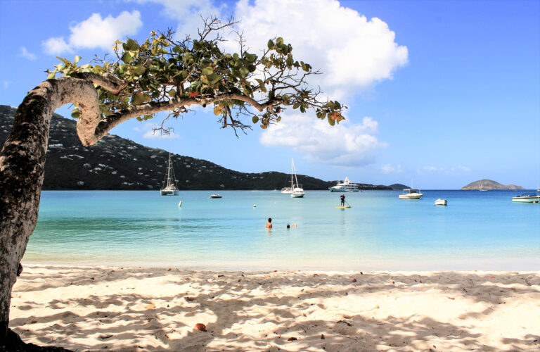 8 Incredibly Beautiful Beaches To Visit on St. Thomas