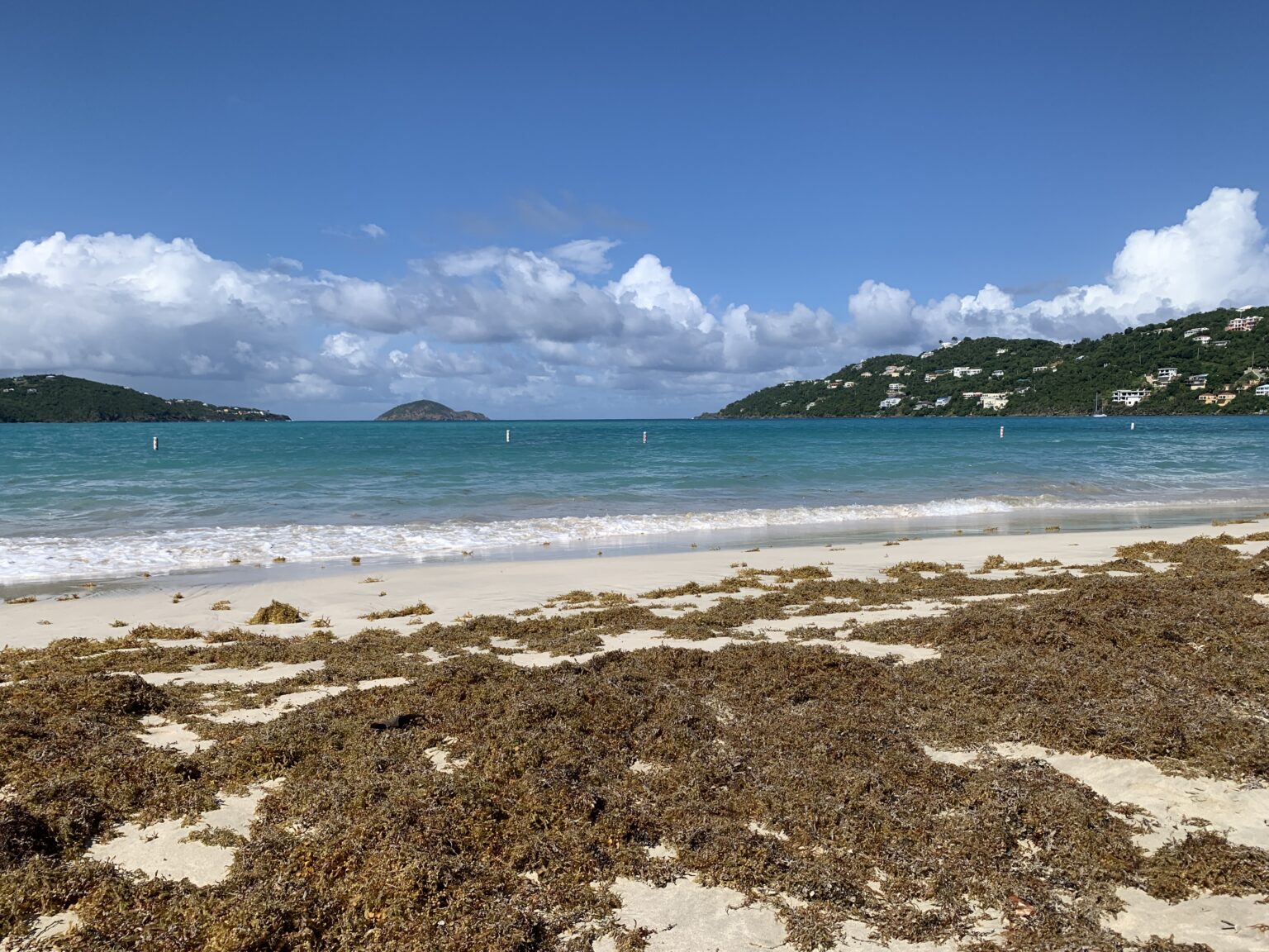 An Inundation of Sargassum Seaweed is Moving Westward USVI in the Path
