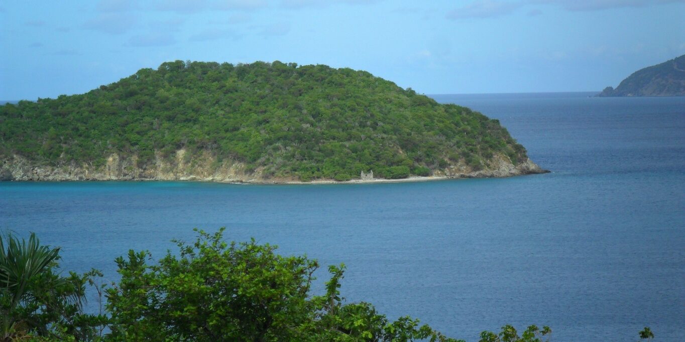 Whistling Cay, located west of Mary Point off the northern shore of St. John. (Photo by Olasee Davis)