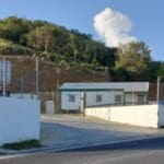 Estate Orange Grove plant