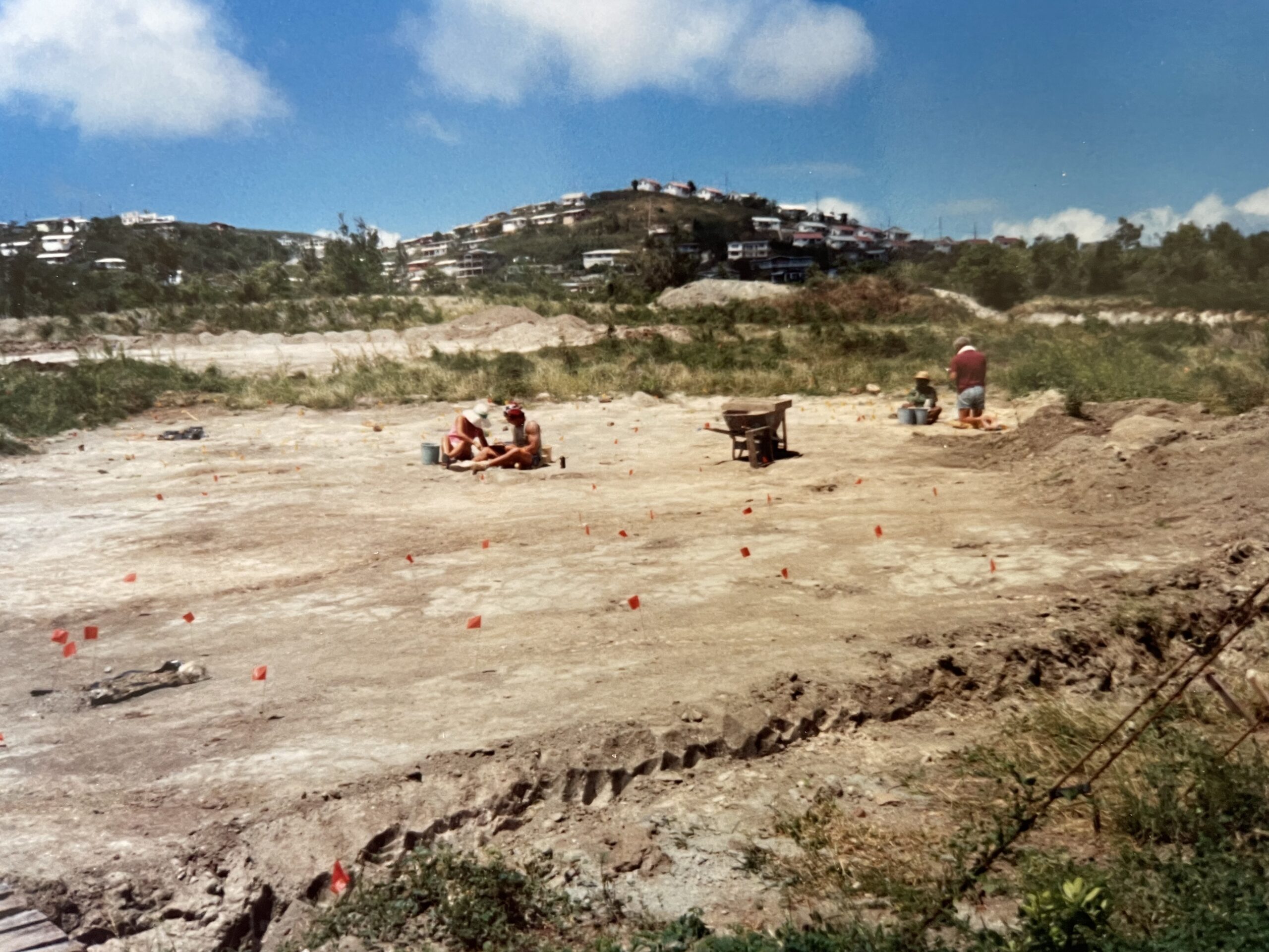 Red flags mark post-hole stains of houses at pre-Columbian village at Tutu. (Photo by Emily Lundberg)