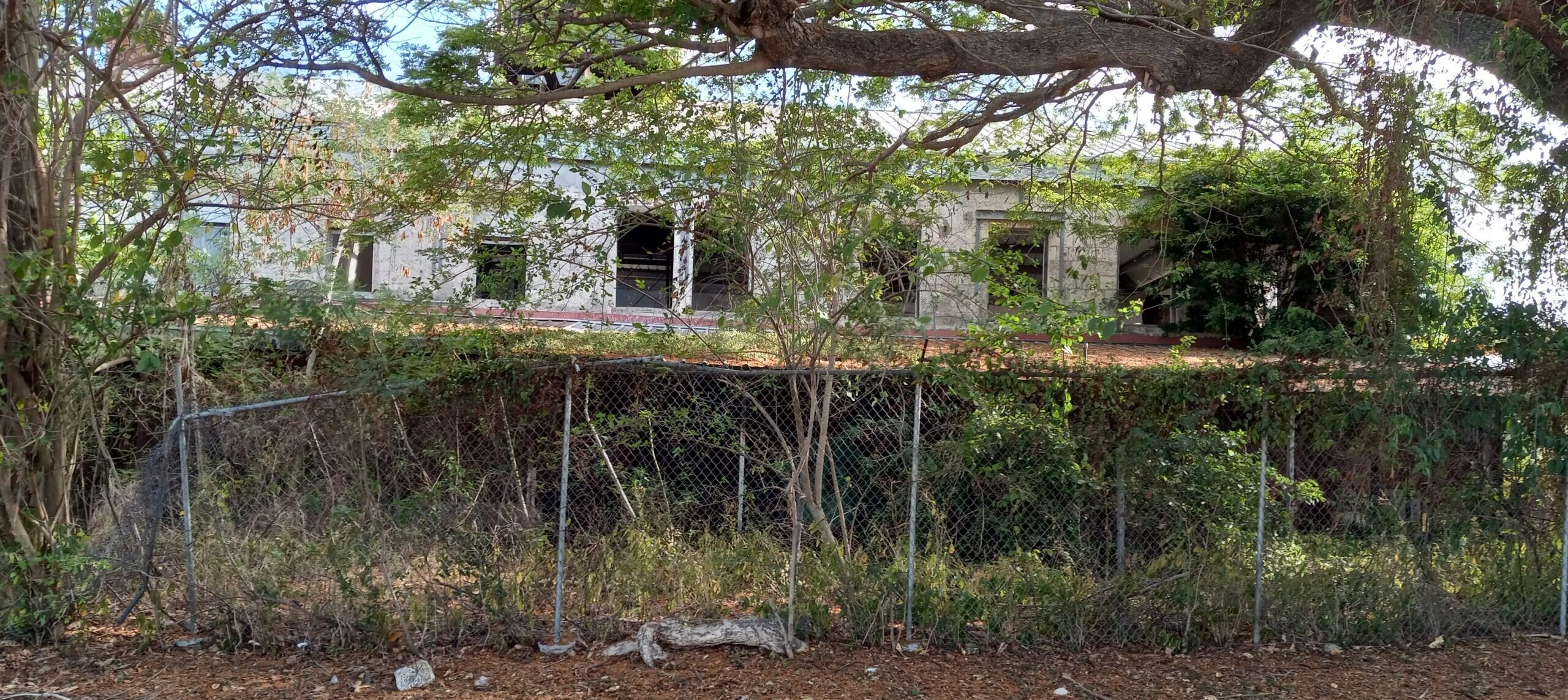 Old sugar factory in Estate La Grange were one of many sites of organizing plans for emancipation. This site should become an Emancipation Museum (Photo by Olasee Davis)