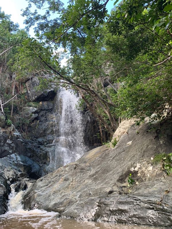 During heavy rains, guts can become raging torrents. Reef Bay on St. John now has a seasonal waterfall and is an example of when streams once flowed all year round. (Photo by Olasee Davis)