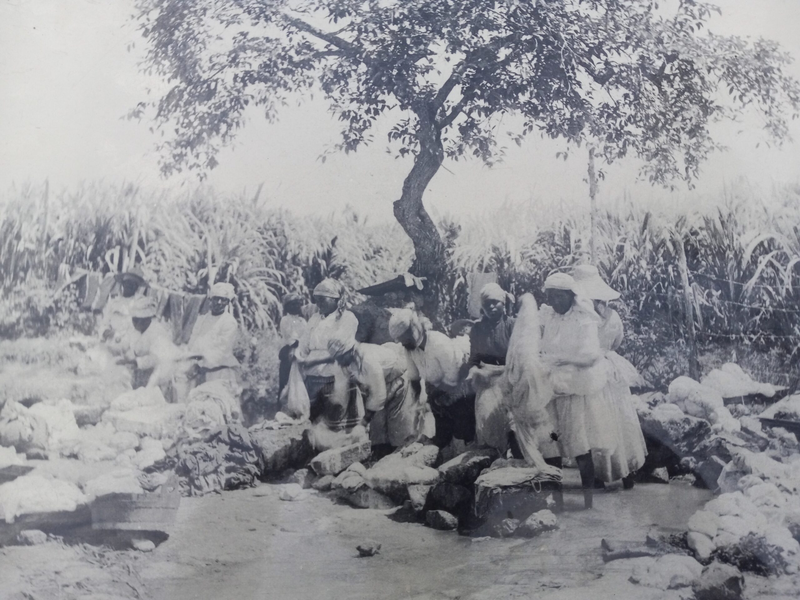 Harden Gut, just outside of Frederiksted town, was a popular stream where women washed their clothes. (Photo courtesy Olasee Davis)