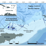 East-end-of-St-Croix-US-Virgin-Islands-including-Buck-Island-Reef-National-Monument