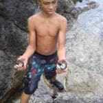 Maroon Country whelks