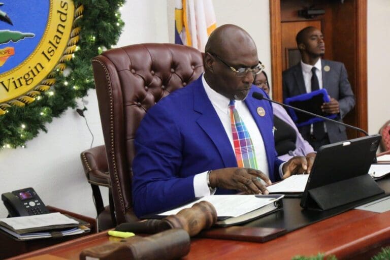 Senators Hold Back Line of Credit Amendment, Pass Budget Bill for Fund Access