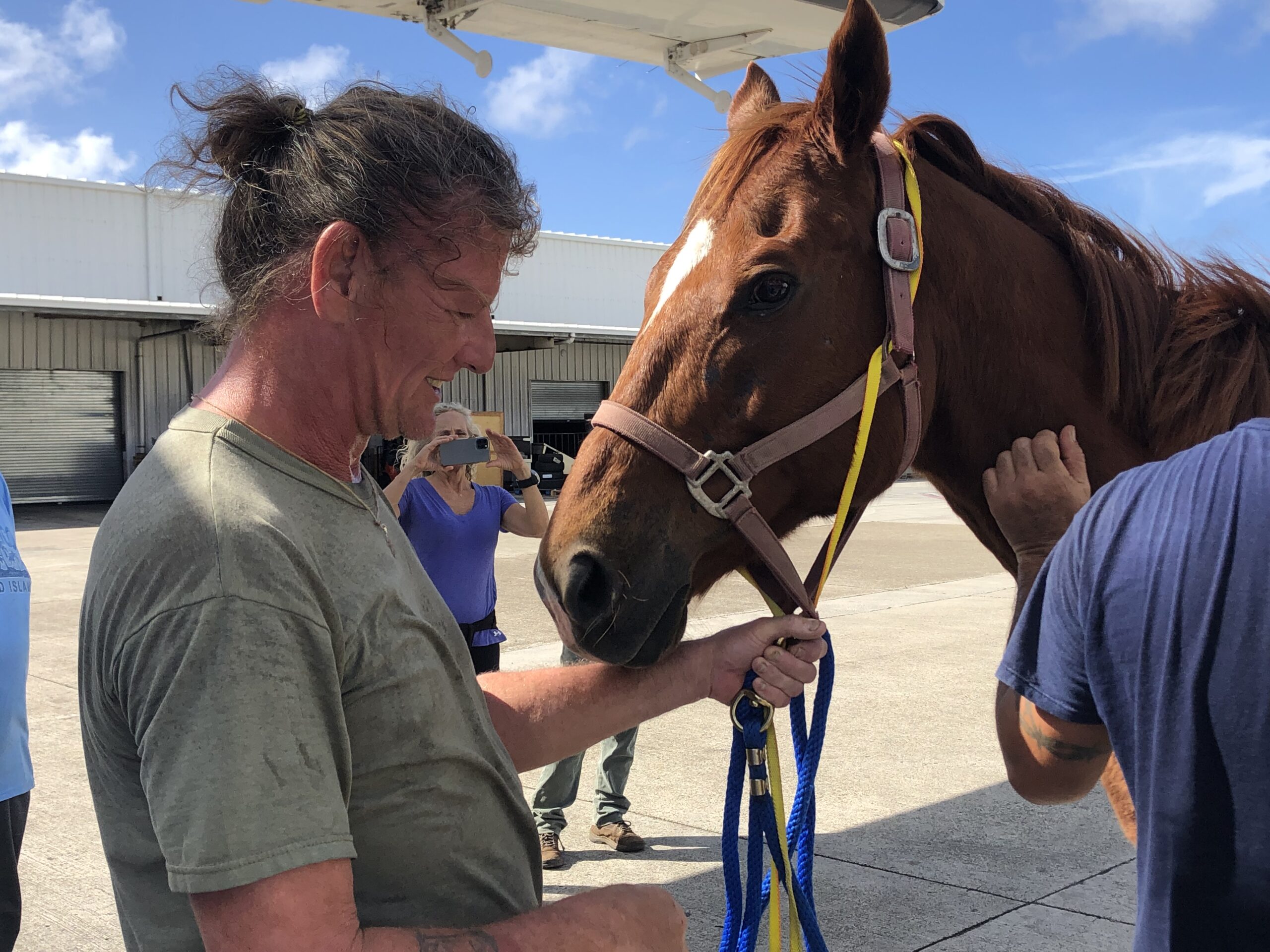Travis Mitchell prepares a horse for loading onto a cargo plane in November to be flown off-island to the U.S. mainland after a quarantine stop in Puerto Rico. (Source photo by Sian Cobb)